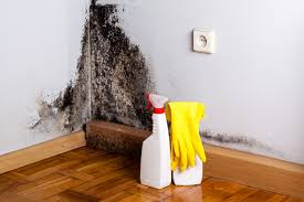 Best Basement Mold Removal  in Scarsdale, NY